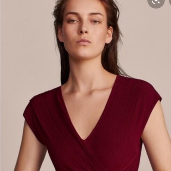 Massimo Dutti Limited Edition Dark Red Dress - Picture 7 of 10